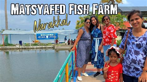 matsyafed fish online|Matsyafed to go online; doorstep delivery by Onam .